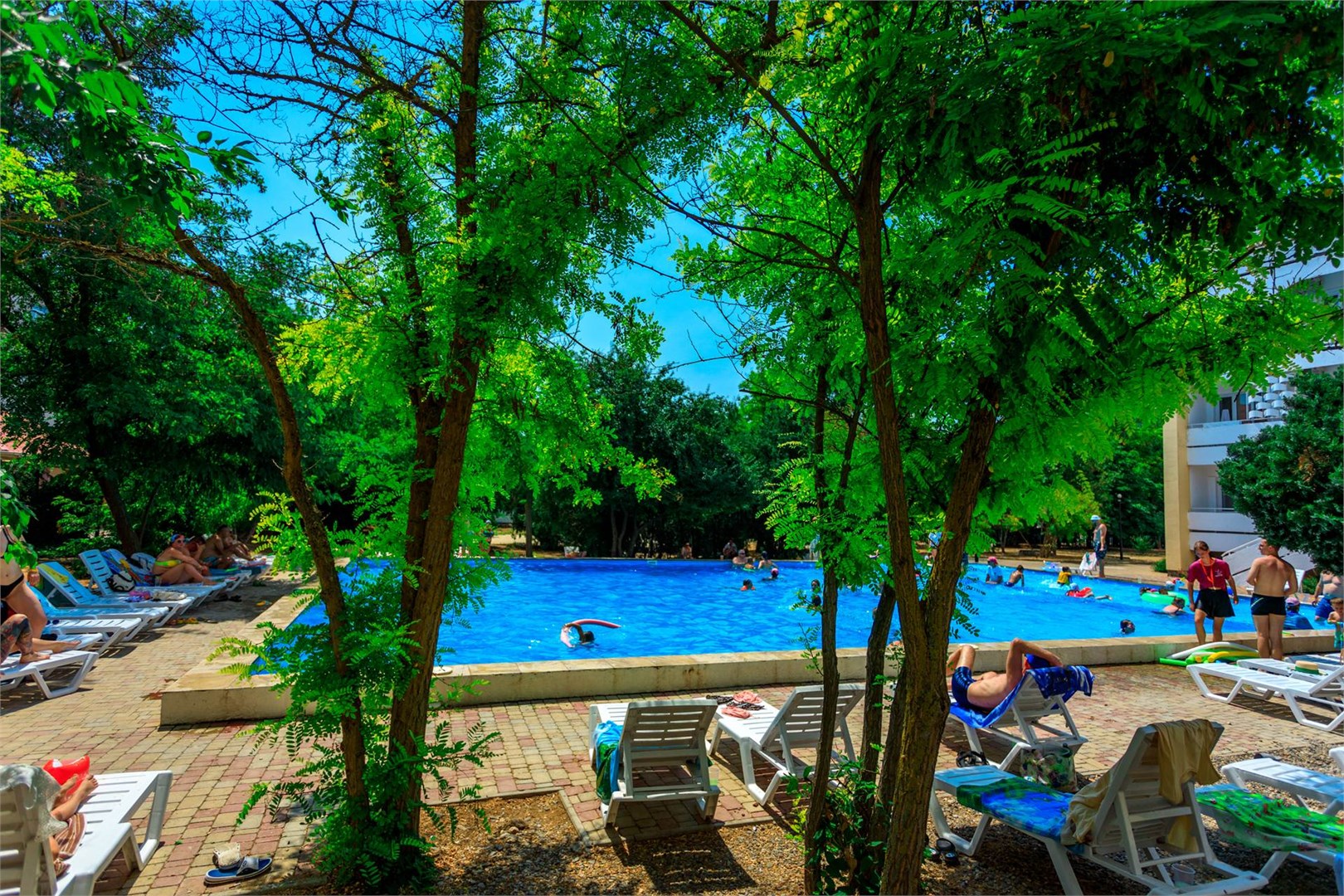 Family Resort - photo 4