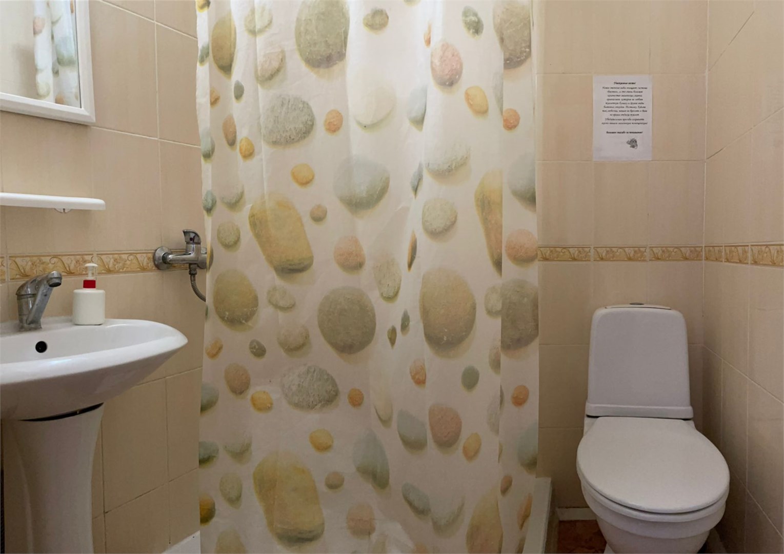 Оазис - photo 2