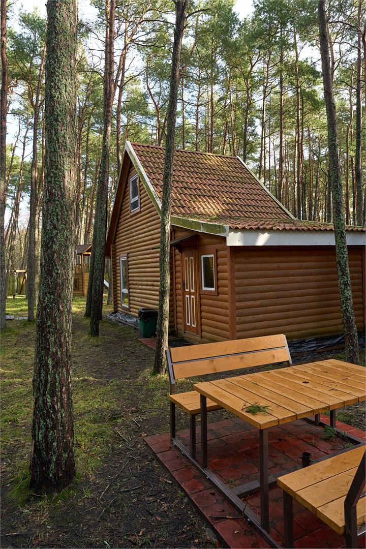 Куршале-Визит - photo 4