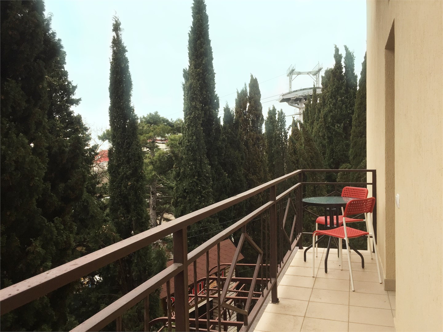 Пальма - photo 5