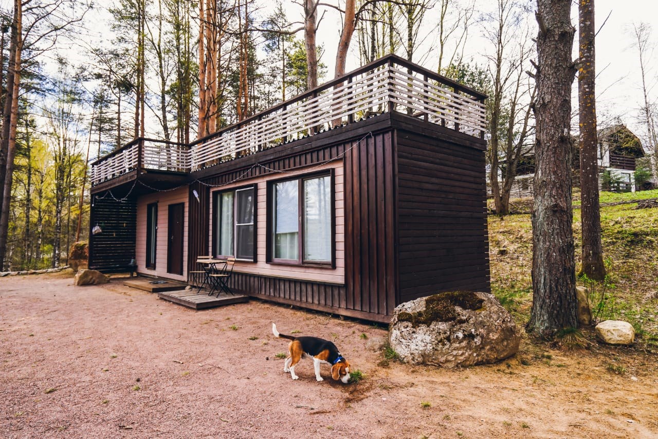 SMART на горе Коробицыно