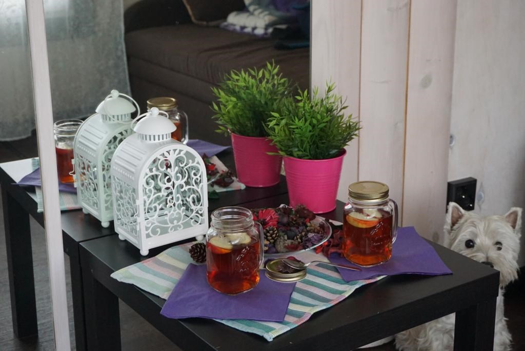 SMART на горе Коробицыно - photo 2