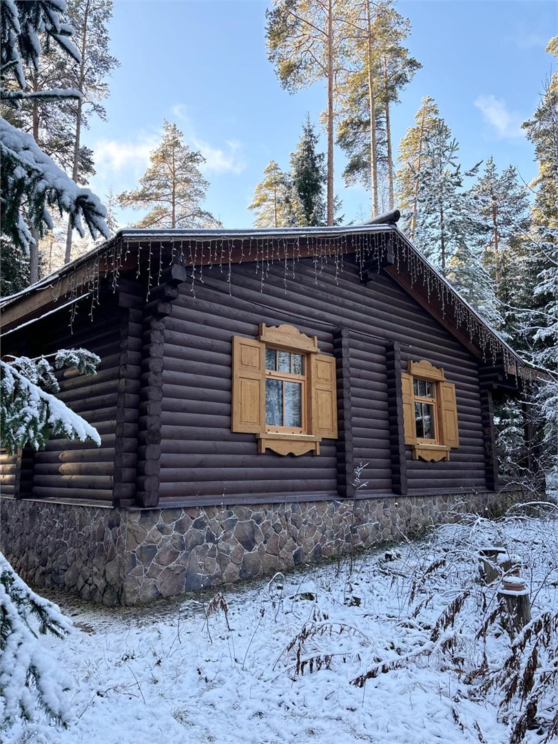 Шишки на Лампушке - photo 2