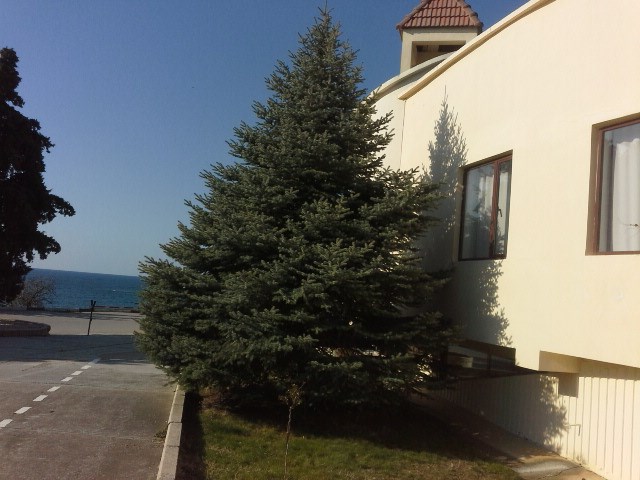 Гостевой комплекс Аквапарк Симеиз - photo 3